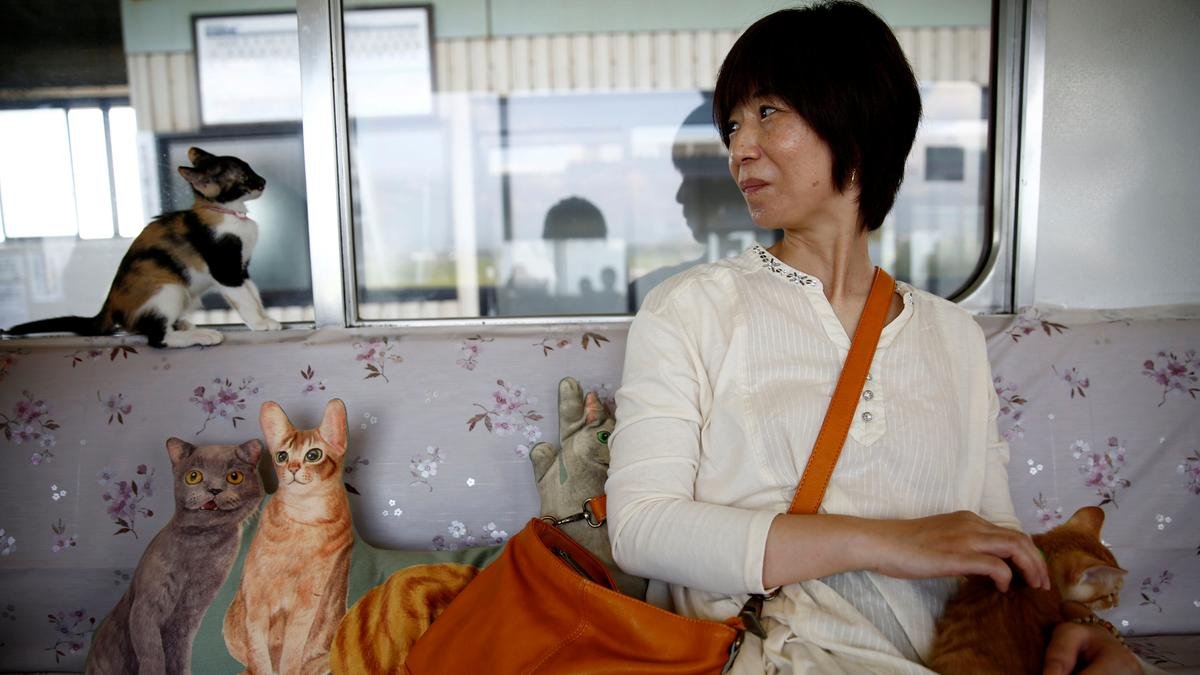 Japan opens its first cat train! Catman