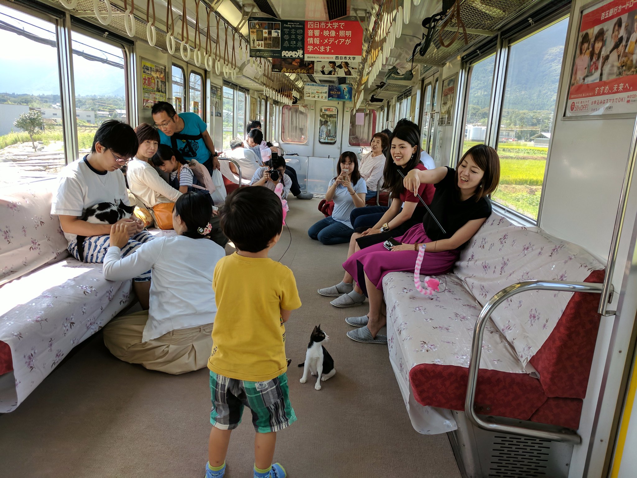 Japan opens its first cat train! 
